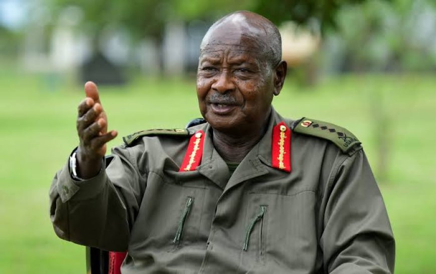 We Are Sending More Troops in the Mountain Brigade after Attacks on Primary School; Says Museveni.
