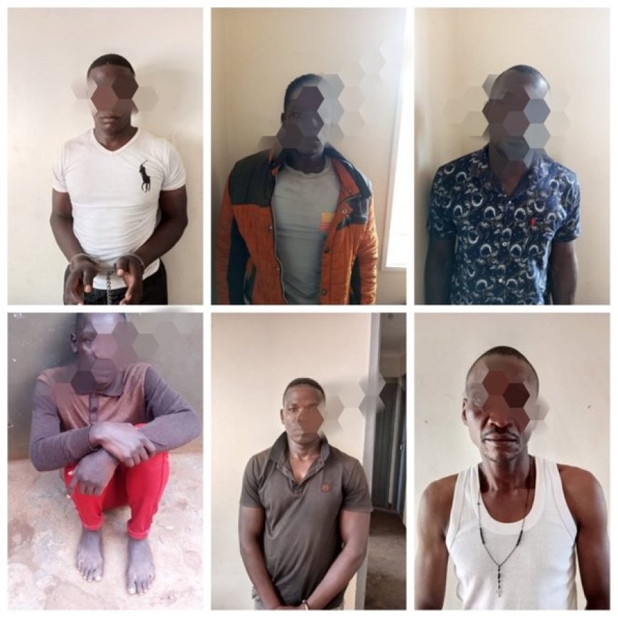 Security Agencies Arrest 9 Armed Robbers and Recover 2 Guns