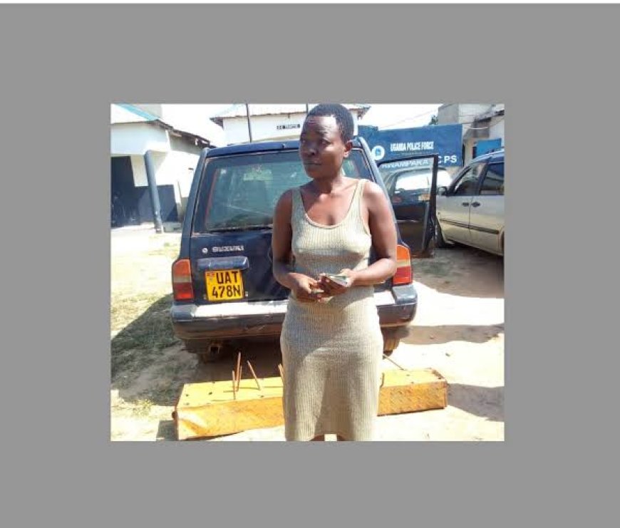 Police Arrest Woman for Stealing Archdeacons Car
