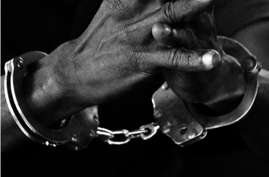 Two Suspects Arrested for Allegedly Trafficking 131 People