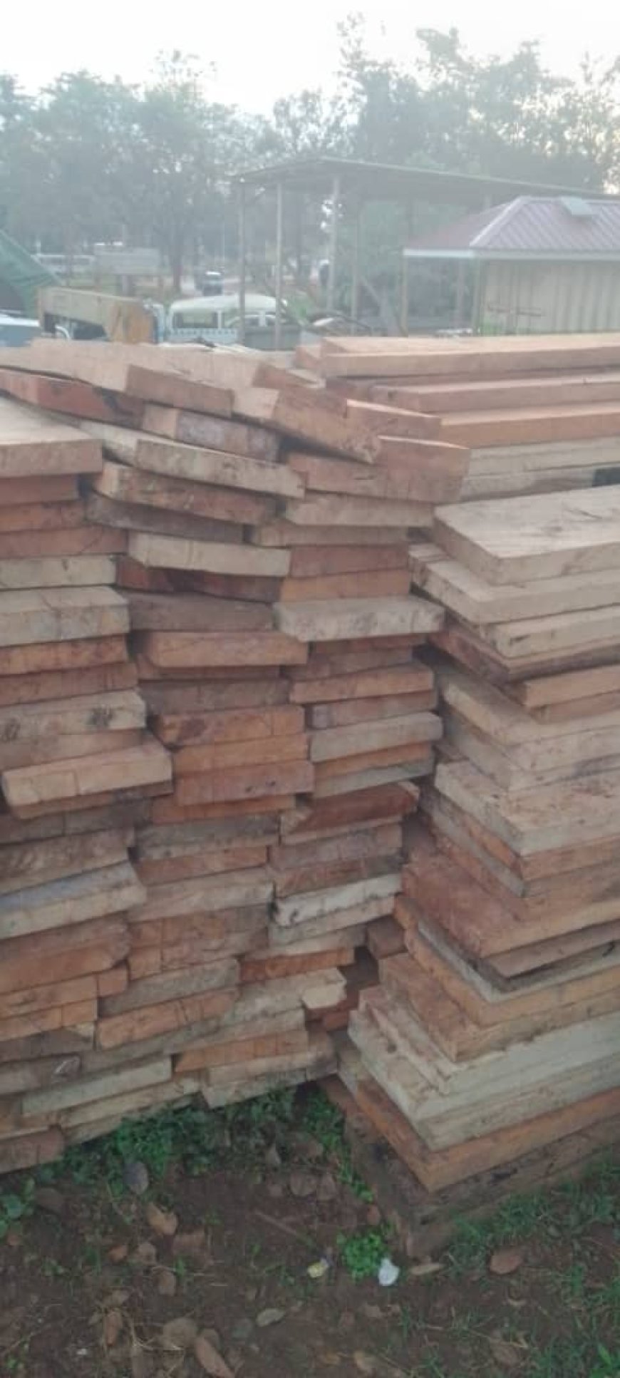 Four Held for Illegal Possession and Trading of Forestry Products