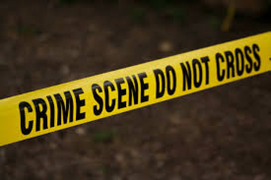 Assailants Kill Husband, His Wife, Leave their Bodies Lifeless Inside the House