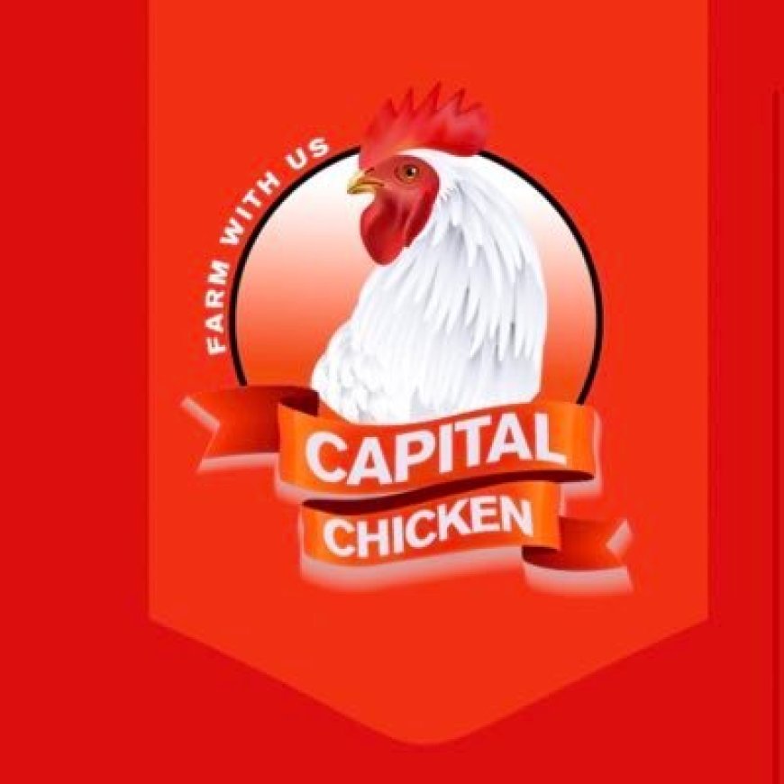 CAPITAL CHICKEN Directors Arrested over Stealing shs 1.7Bn from Ugandans.