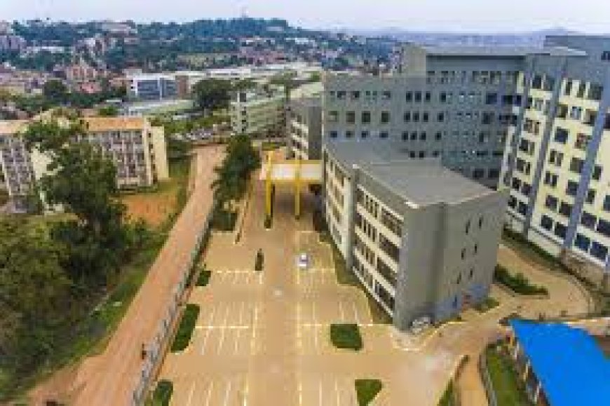 Court Oders Mulago National Referral Hospital To Compensate Shs 50 Million Over Disappeared Baby