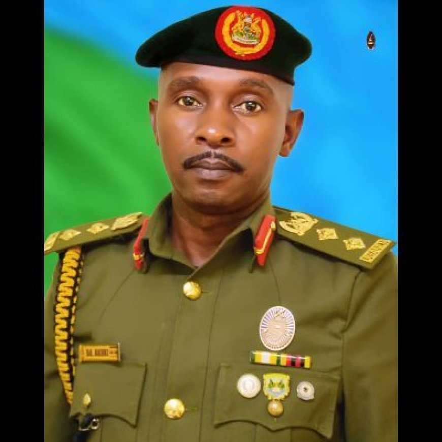There Isn't Any One In Jail For Wearing A Beret or UPDf  Uniform- Col.Deo Akiiki