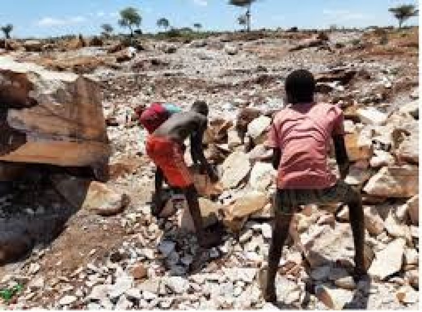 ANPPCAN Advocates For Total Elimination Of Child Labour, Demands More Support To Child Labour Free Zones In Uganda