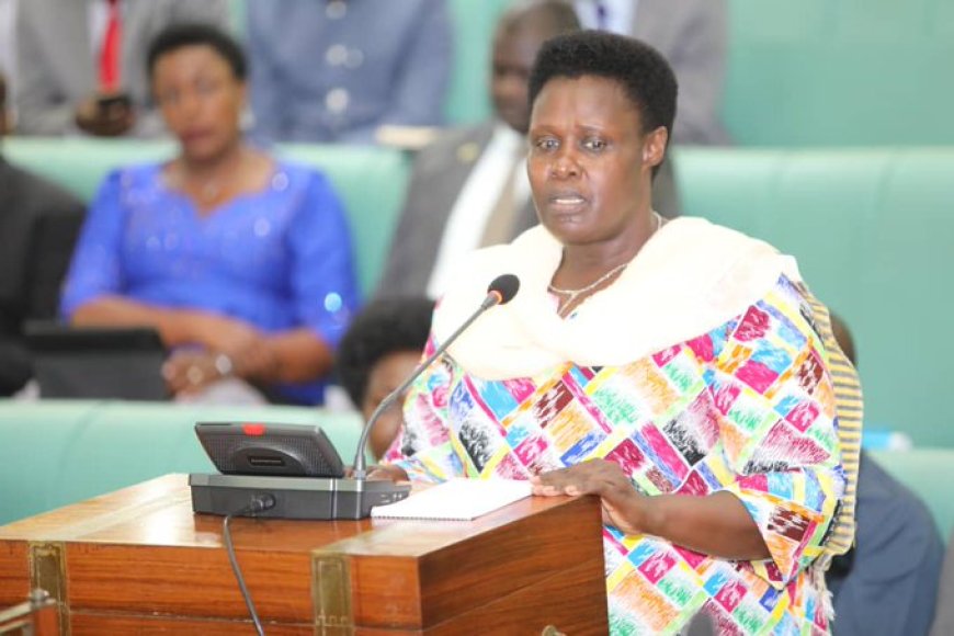 MPs Worried On Unfulfilled Pledges In The Vice President's Office.