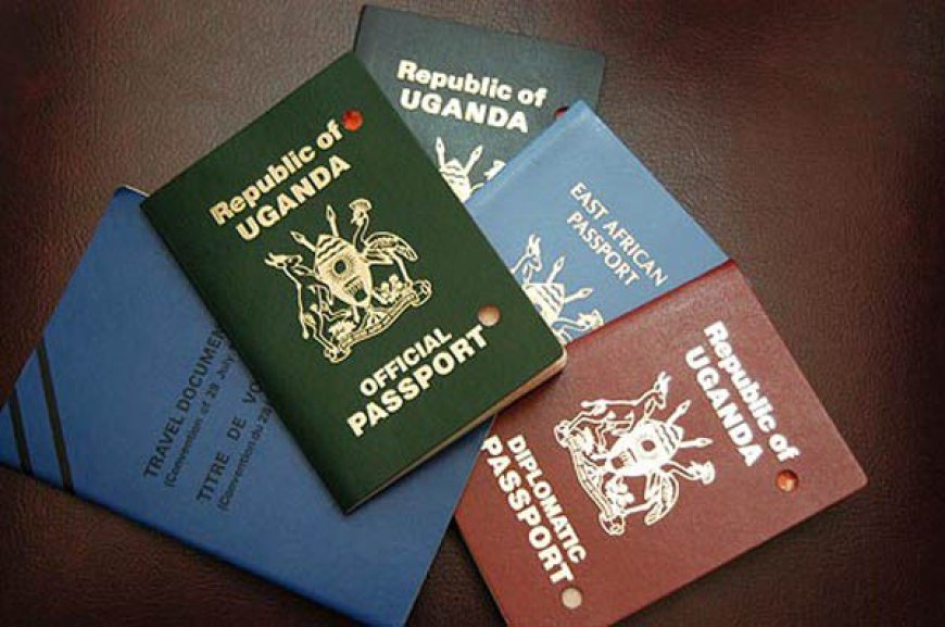 Ministry Of Internal Affairs Stuck With Over 50,000 Unclaimed Passports