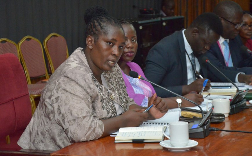 PAC Probes KCCA, Ministry Of Kampala  Work  Duplication