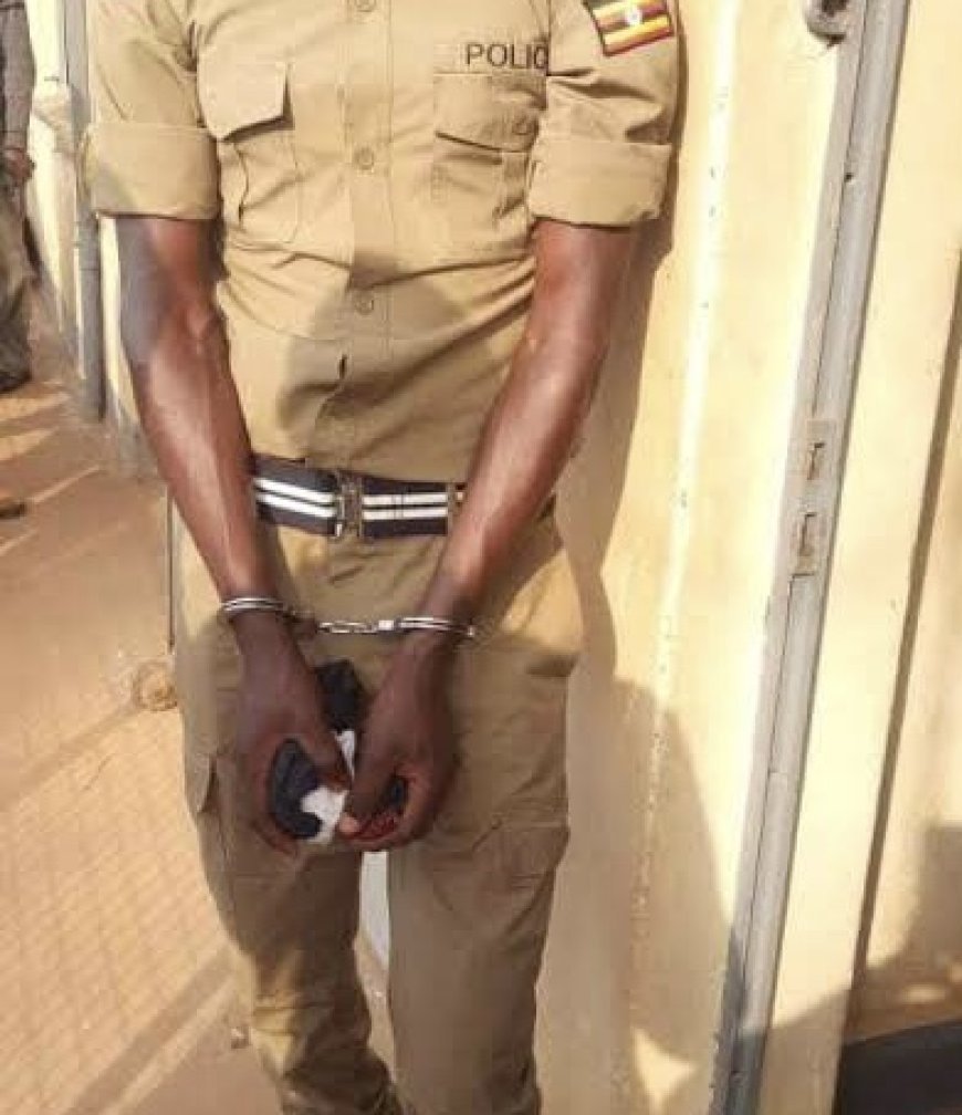 Shame! Police Officer Arrested Over Defiling 1 1/2 Years Old Girl