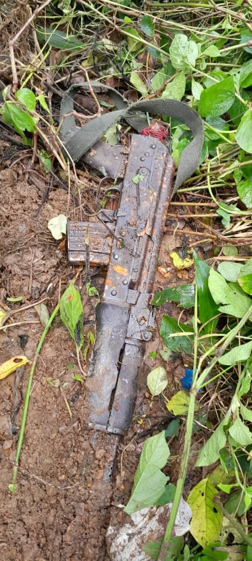 Notorious Robber Arrested Hiding AK-47 Gun In Swamp