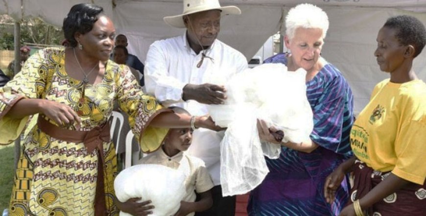 39.933m Ugandans Sleep Under Mosquito Nets- Health Survey Report Shows