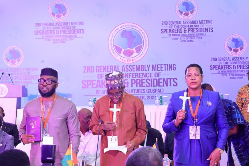 Speaker Among Elected Vice Chairperson Forum Of African Speakers And Presidents Of Legislatures