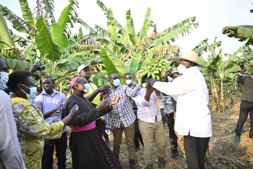 Prioritize Land Fragmentation Fight-President Museveni Urges Teso Leaders