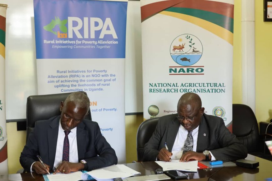 NIRO, RIPA Sign MOU On Helping Farmers Out Of Poverty Trap