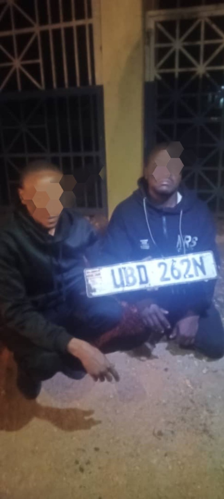 Two Arrested Over Stealing Numberplates At Night