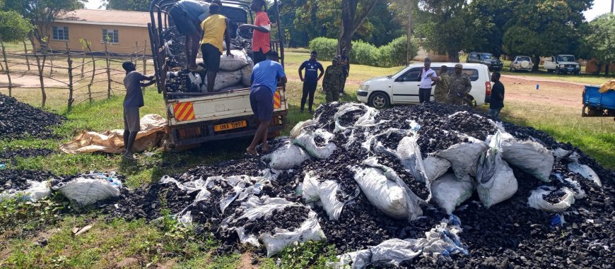 UPDF Warns Charcoal Dealers Against Defying Presidential  Directive