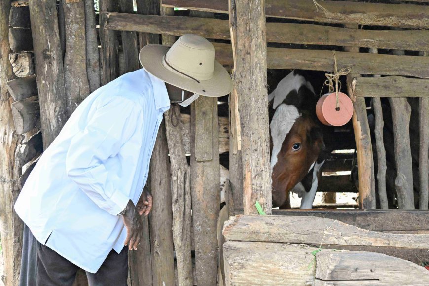 Museveni Resumes Nationwide PDM Assessment In Busoga Subregion.