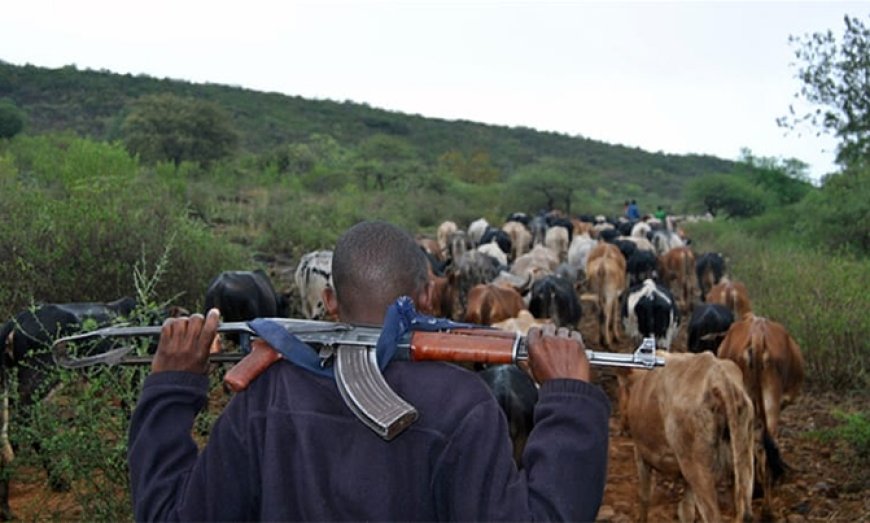 Six Armed Robbers Raid Kupia Village, Abduct Three People And Steal 150 Cows.