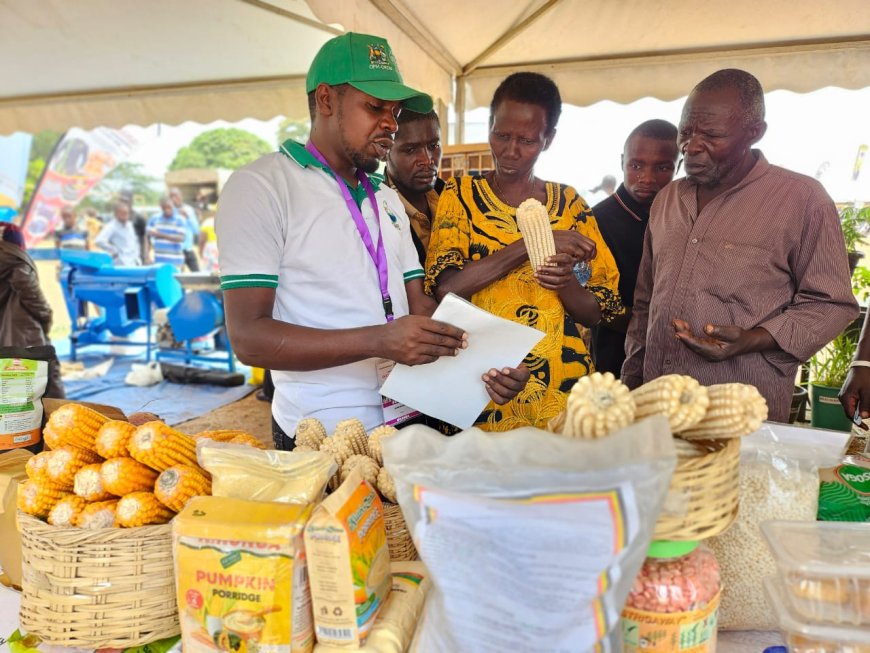 NARO Showcases Agricultural Technologies At International Women's Day Celebrations