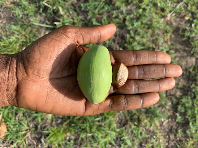 What Was Once Shameful Is Now Seen as Healthy and Brave