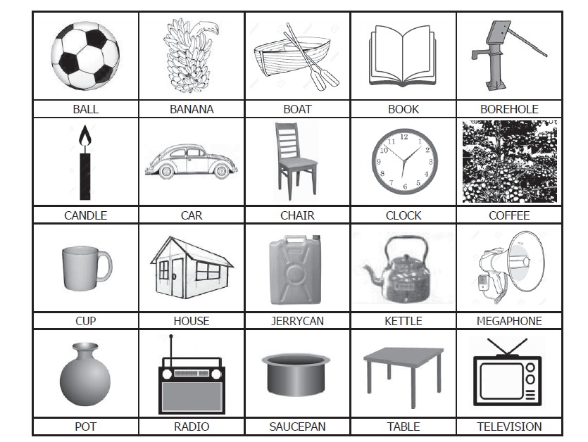 Electoral Commission Approves Symbols For Independent Political Candidates