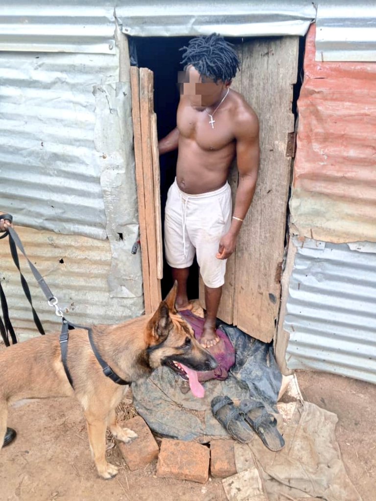 Just In!! Police Dog Tracks Down Suspect After Livestock Theft in Kiruhura District
