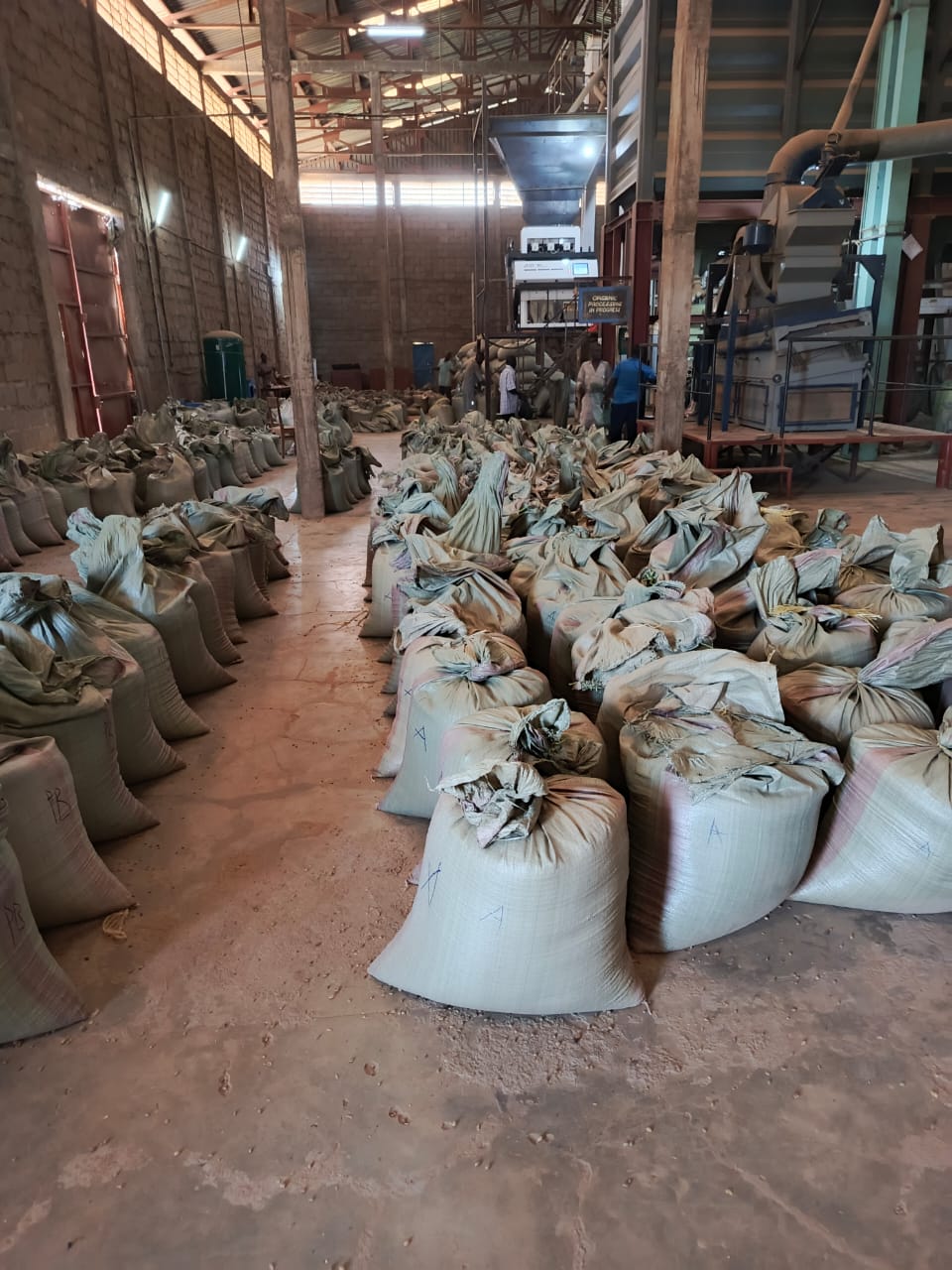 UDC Saved Us Monopoly Of Coffee Marketing Board- Budadiri Arabic Coffee Miller Boss Says