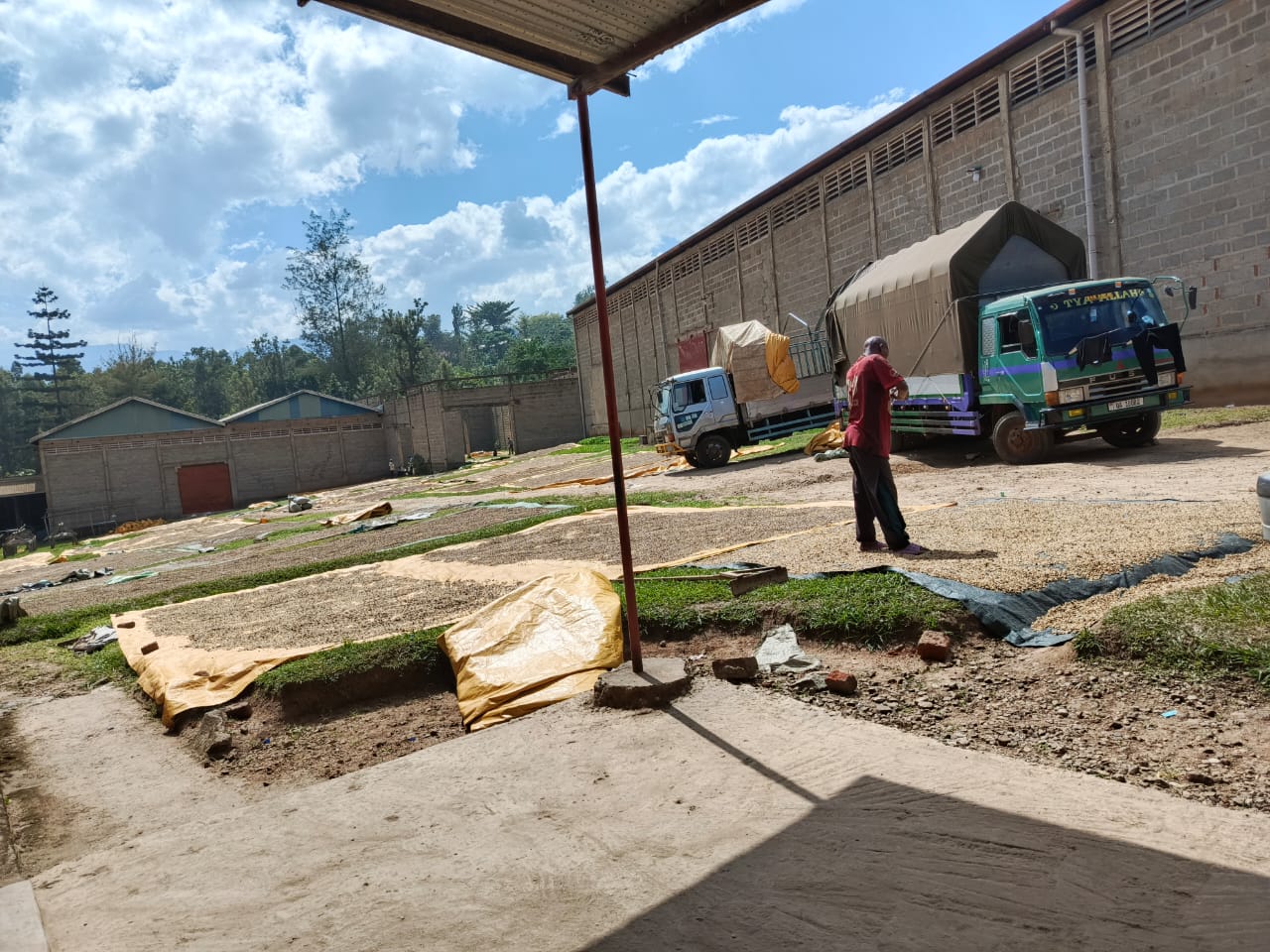 UDC Revives Budadiri Coffee Mill, Revives Operations and Restores Community Hope