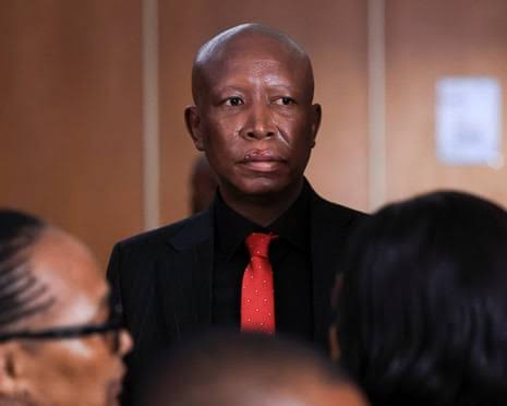 Julius Malema Sentenced to Five Years Over Firearm Case