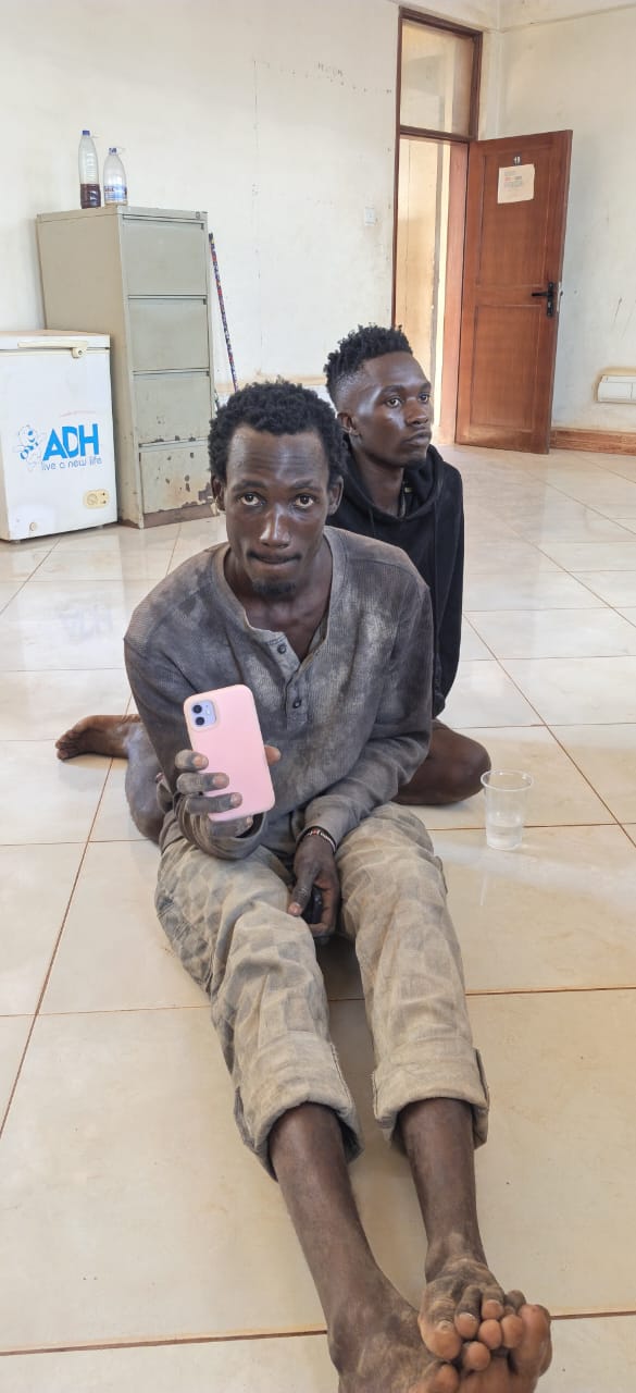 Woman’s Cry for Help Leads Police to Stolen iPhone 11 and Three Suspects